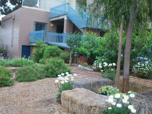 Nice vegetable garden at PB Middle school near Church service.