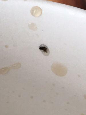 Pic of my lilbug inside the drink cup. I wonder if they charged me alil extra for it. Poor lil bug death by too much drinking.