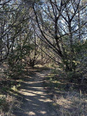 Acton Nature Center