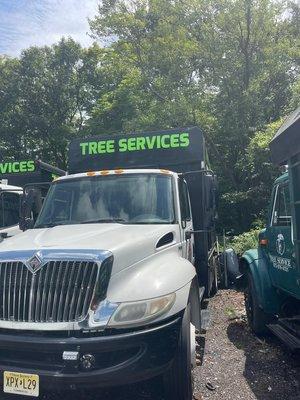 Tree Paradise Services