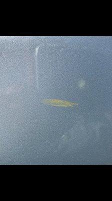 Yellow mark easily removed by hand, you cannot tell me my car had been waxed.