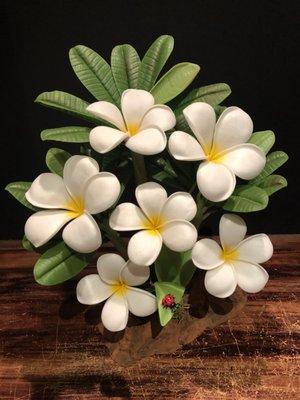 White clay plumeria with lady bug