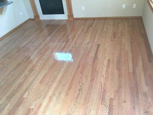 Hardwood cleaning and restoration, Clean outstanding result