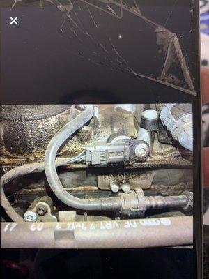 Picture the dealership sent my mom after they told her she had an oil leak that would cost $1,600 to fix.