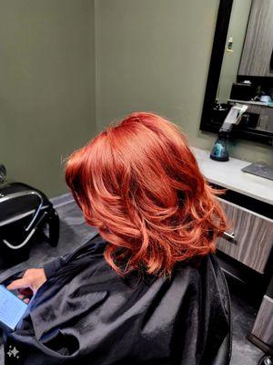 Beautiful red lob