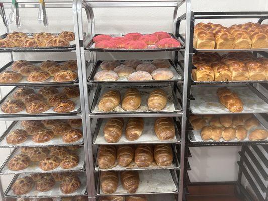 Pan de muerto rye bread and challah bread