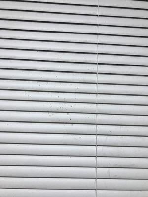 dirty kitchen blinds