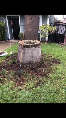 One-Stop Stump Grinding