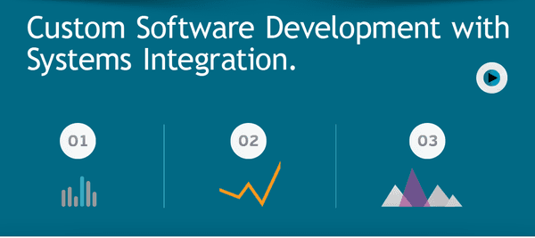 Custom Software Development with Integration