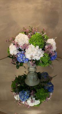 Beautiful hydrangeas