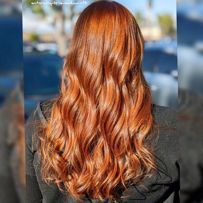 Cut, copper color, and olaplex hair treatment.