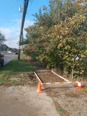 Tall bushes on the fence making it hard for city workers to properly fix the concrete.