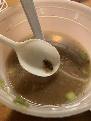 A roach inside boat noodle