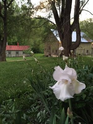 View of the barn