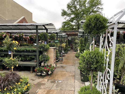 Great selection of flowers, bushes and small trees anywhere in Dallas