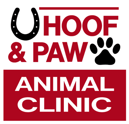 Hoof & Paw Animal Clinic