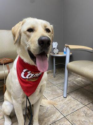 Veterinary Medical Center of St Lucie County