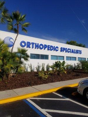 Orthopedic Specialists