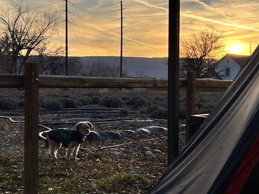 Beautiful sunset over the Rocky Mountains while relaxing with a nice whiskey.