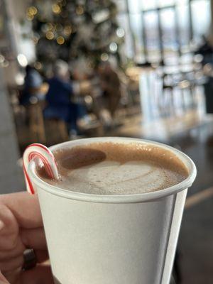 Peppermint Hot Chocolate