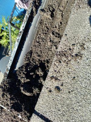 Gutter cleaning Los Angeles 626 420 4583 before