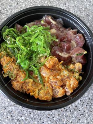 Spicy & shoyu poke