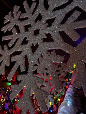 Snowflake closeup