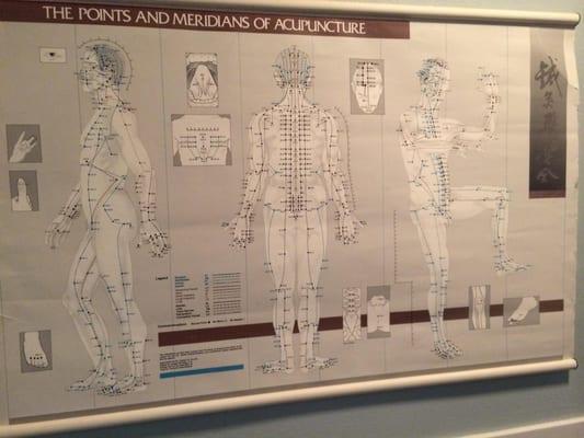 3 views showing all main meridians & points