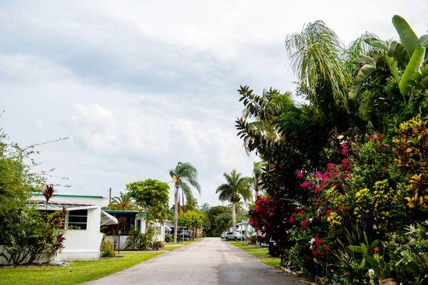 One of our street views at Palm River Mobile Home Park.