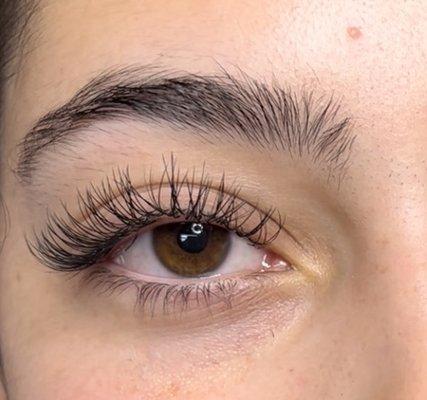 hybrid eyelashes extensions