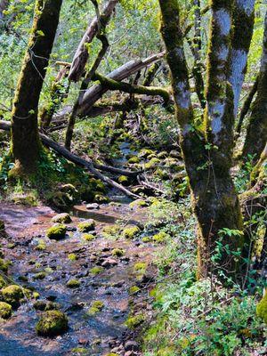 Annadel State Park