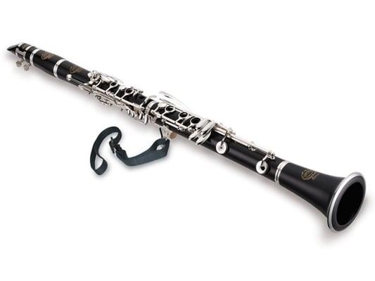 Clarinet - from beginner to performance level