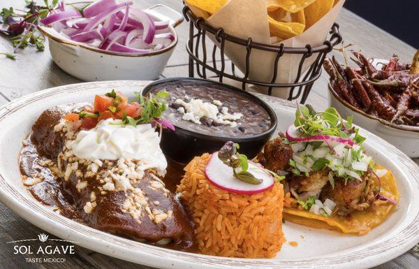 Chicken mole enchilada & our "famous carnitas taco