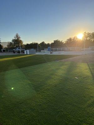 Artificial turf installation.