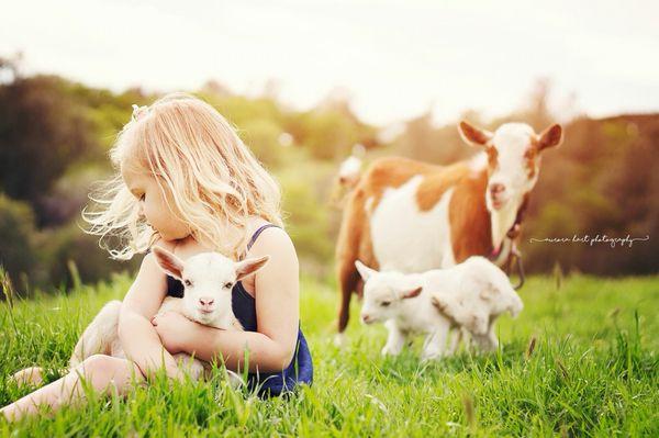 Farm Animal Mini Session in Oroville, CA (March, 2018)