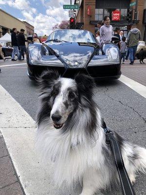 Frankie liked this Ferrari