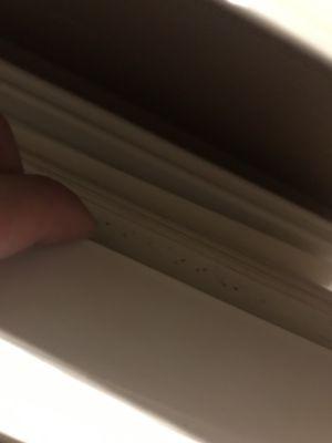 Close up of blinds with cockroach poop all over