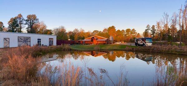 View from the back lawn