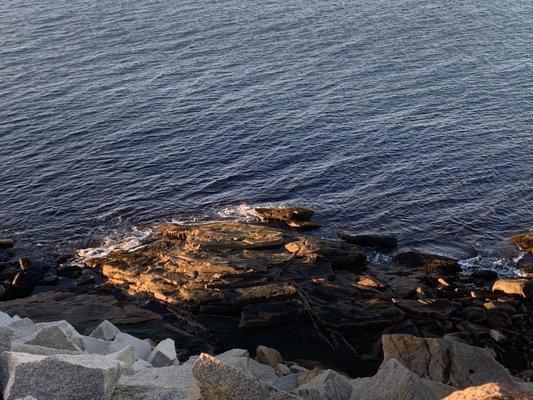 Halibut Point State Park