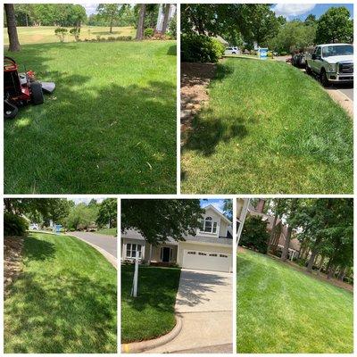 Mowing, edging, trimming, blowing. Weekly and bi weekly service.