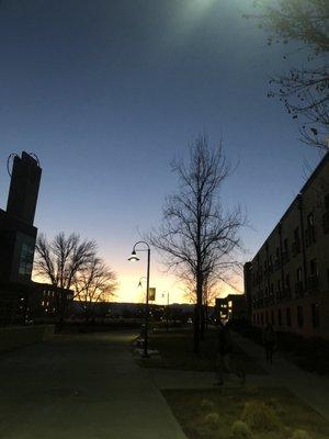 Campus at sunset