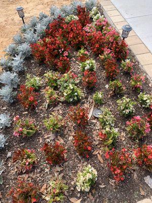 Many aesthetically beautiful flower beds throughout the community