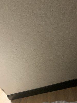 Stains on wall , can't see in the dark