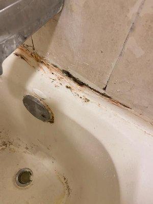 Mold around the tub.