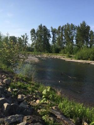 View from opposite side of the main walking trail. (2 trails to walk)