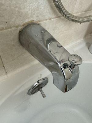 New bath spout functioning as expected