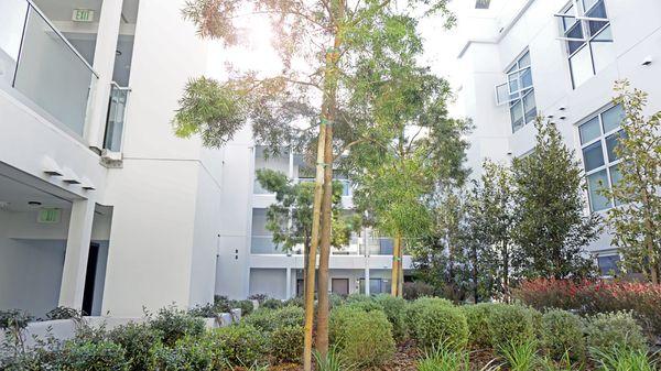 Lush Courtyard