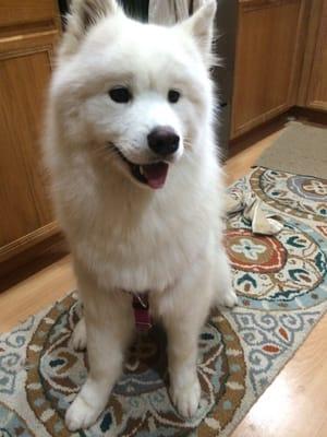 Kyrie happy after her latest groom!