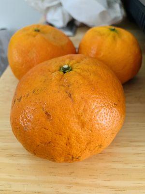 Yosemite Gold Mandarins