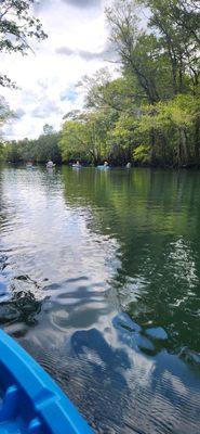 Kayaking back from Cypress Springs, we had so much fun.